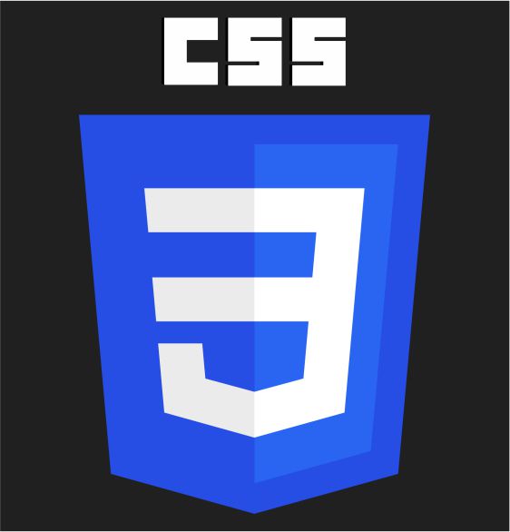 CSS Logo